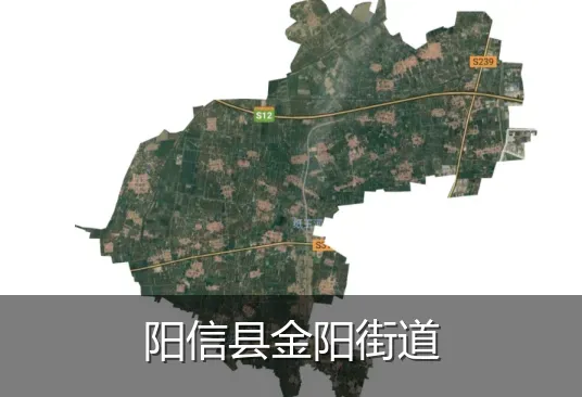 阳信县金阳街道